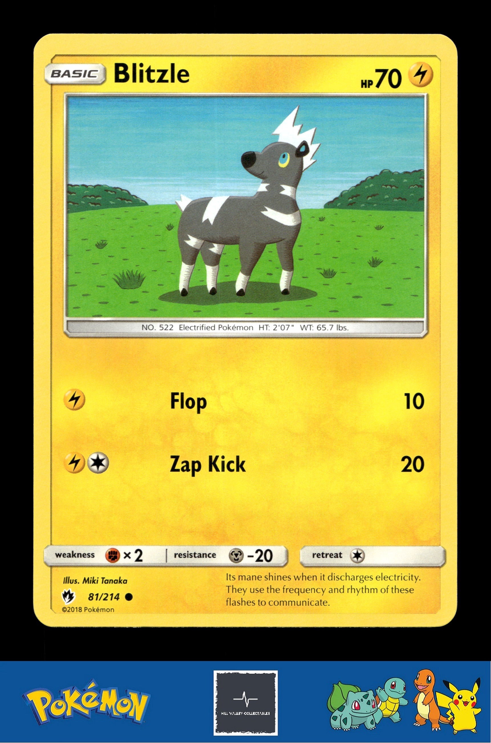 2018 Pokemon SM Lost Thunder 81/214 Blitzle