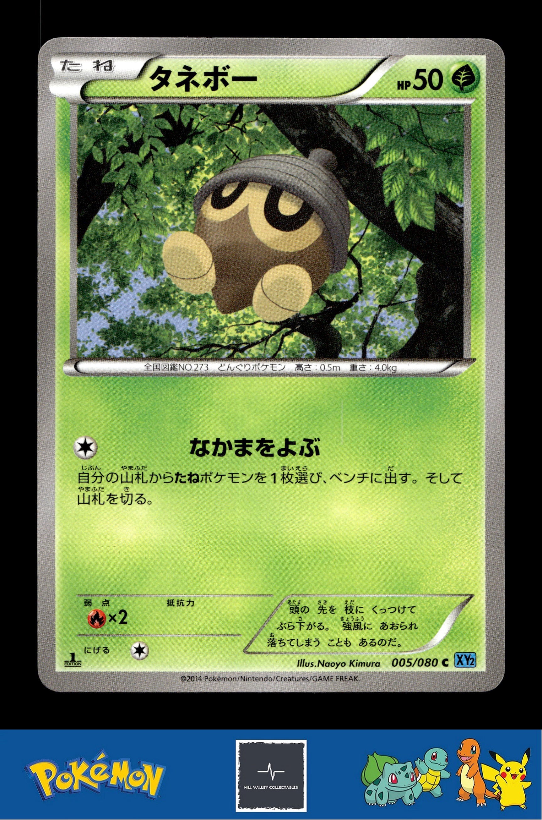 2014 Japanese Pokemon XY2 Wild Blaze 005/080 Seedot 1st Ed