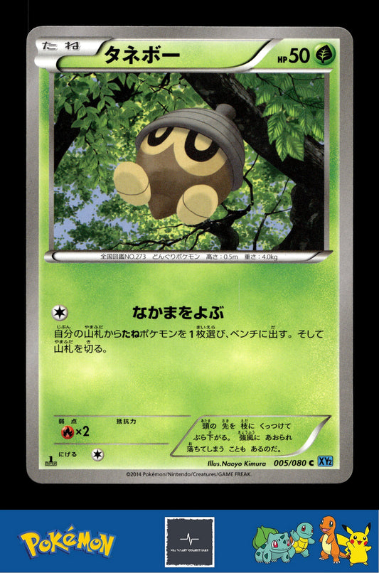 2014 Japanese Pokemon XY2 Wild Blaze 005/080 Seedot 1st Ed