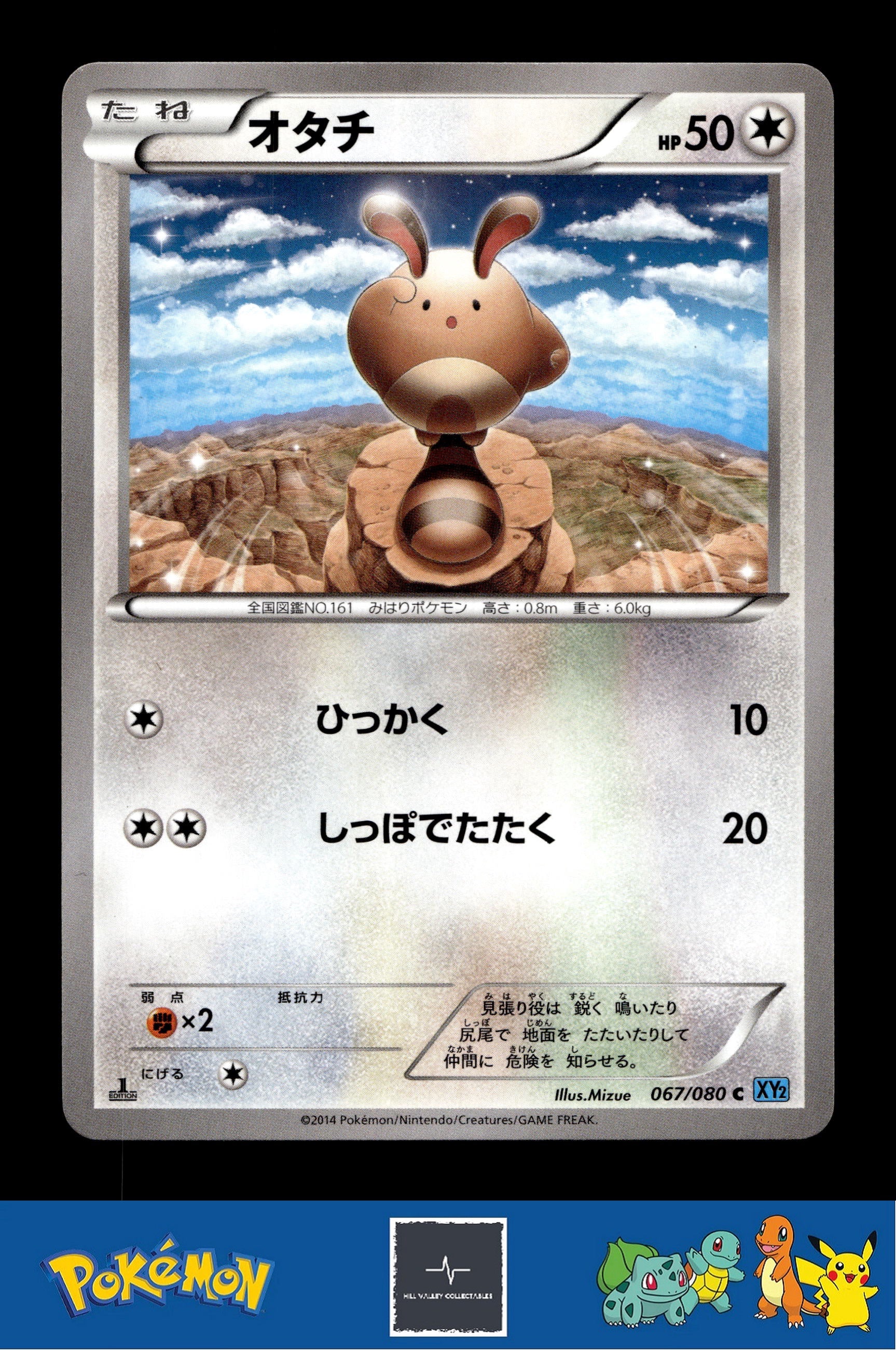 2014 Japanese Pokemon XY2 Wild Blaze 067/080 Sentret 1st Ed