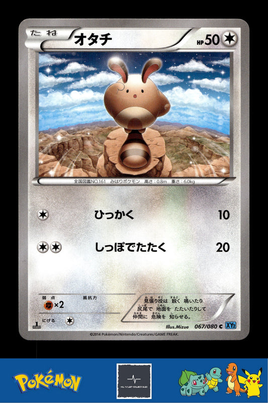 2014 Japanese Pokemon XY2 Wild Blaze 067/080 Sentret 1st Ed