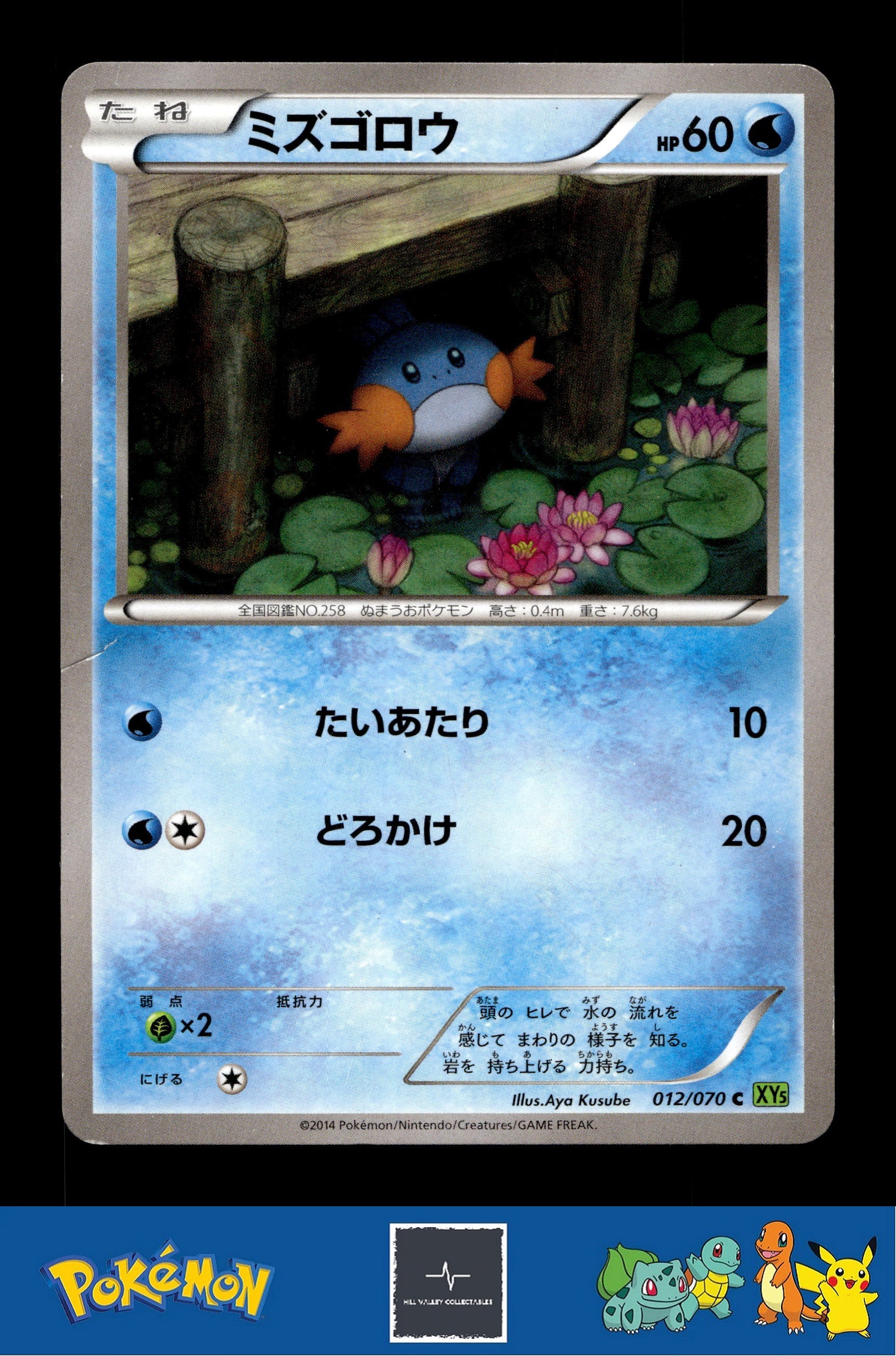 2014 Japanese Pokemon XY5 Tidal Storm 012/070 Mudkip Unlimited