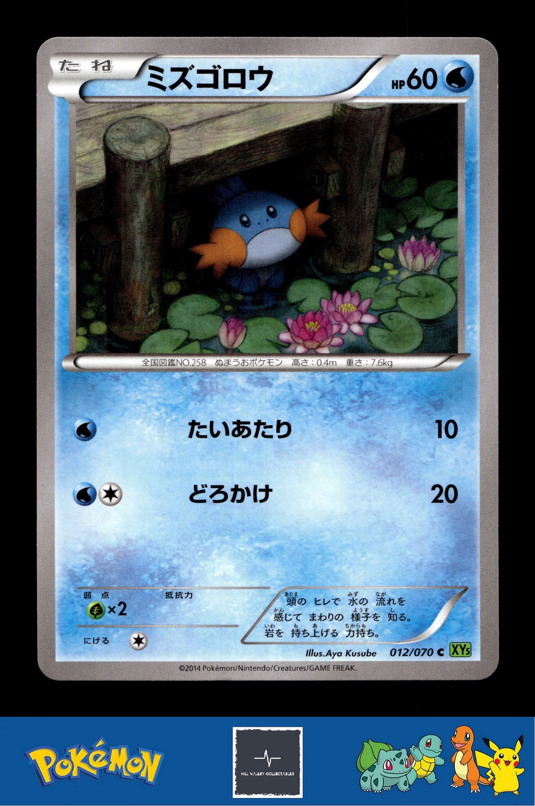2014 Japanese Pokemon XY5 Tidal Storm 012/070 Mudkip Unlimited