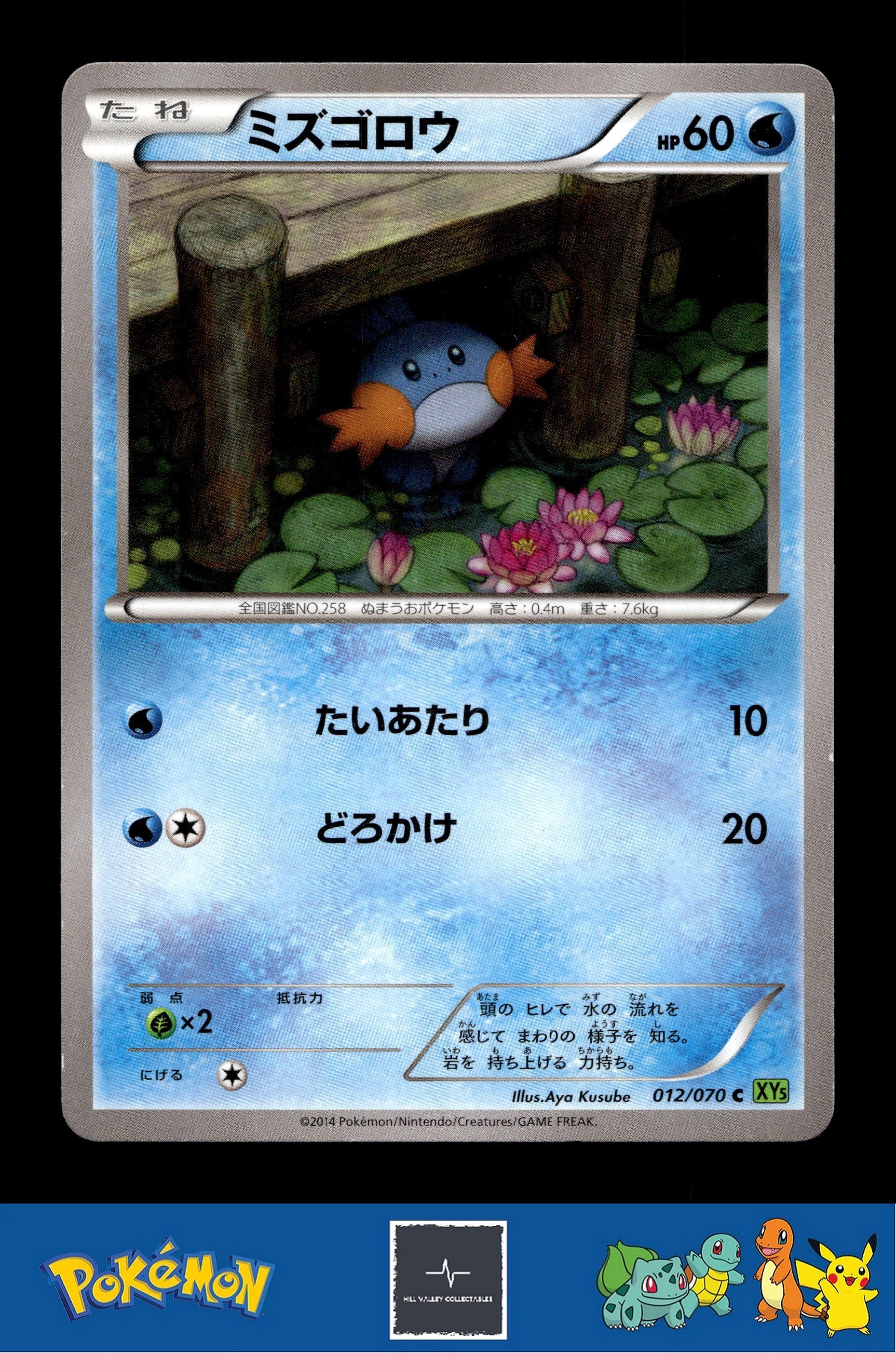 2014 Japanese Pokemon XY5 Tidal Storm 012/070 Mudkip Unlimited