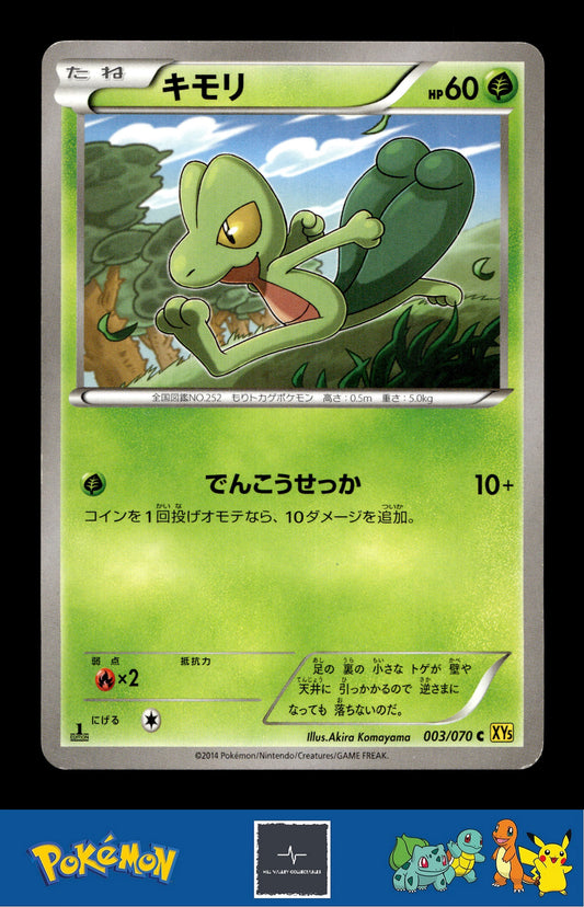 2014 Japanese Pokemon XY5 Gaia Volcano 003/070 Treecko 1st Ed