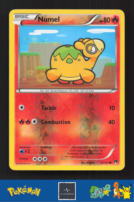 2015 Pokemon XY BREAKpoint 12/122 Numel Reverse