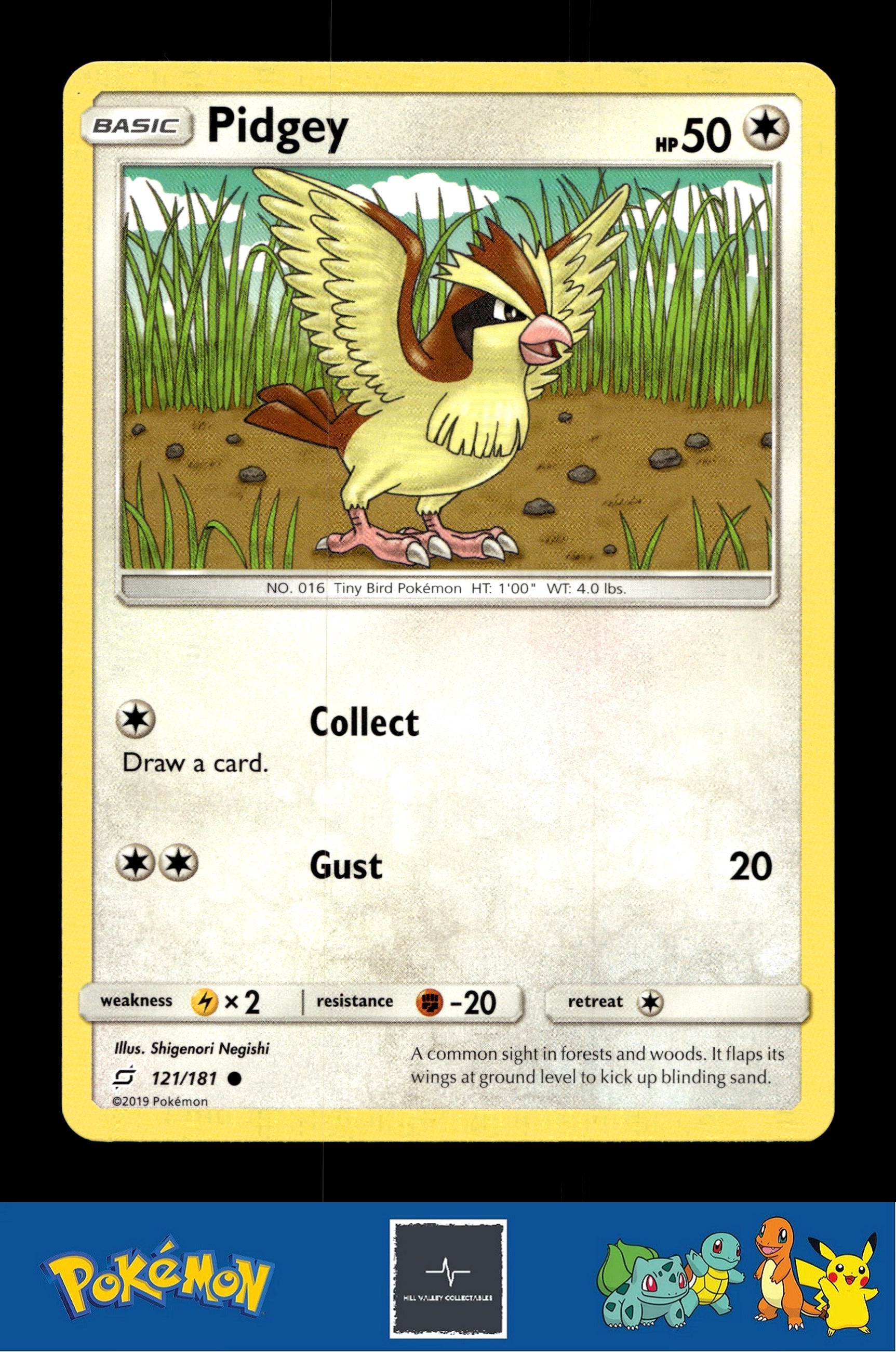 2019 Pokemon SM Team Up 121/181 Pidgey